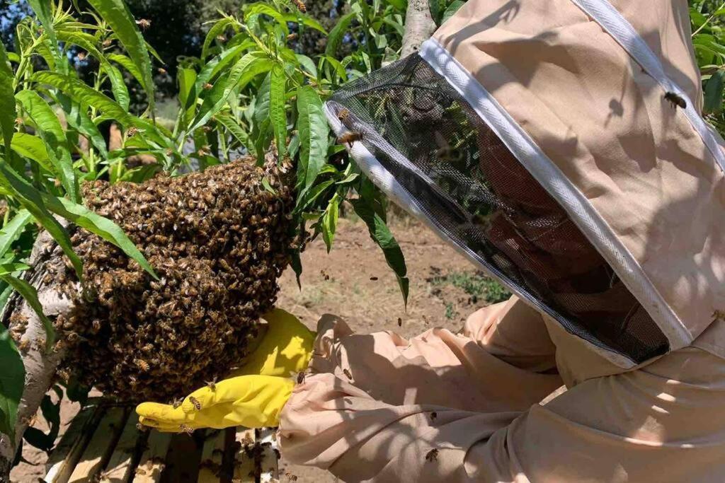 Agriturismo Il Sorbino - Appartamento Da Cocca Pian d'Alma Luaran gambar