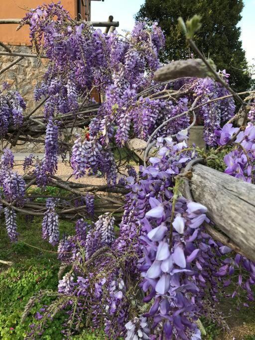 Agriturismo Il Sorbino - Appartamento Da Cocca Pian d'Alma Luaran gambar
