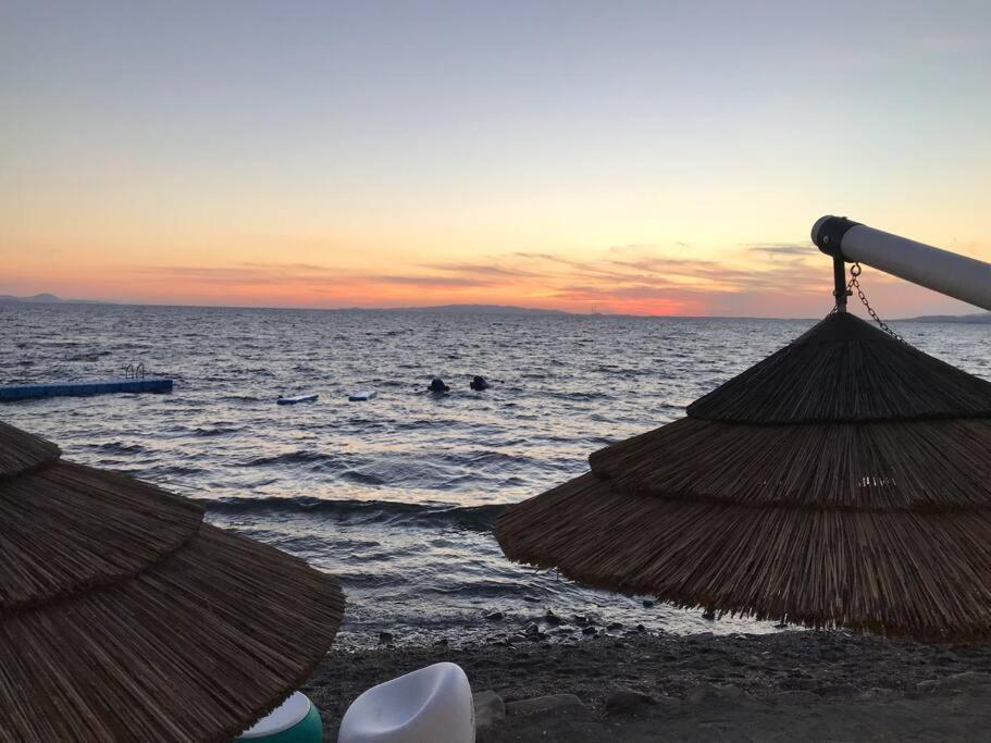 Agriturismo Il Sorbino - Appartamento Da Cocca Pian d'Alma Luaran gambar