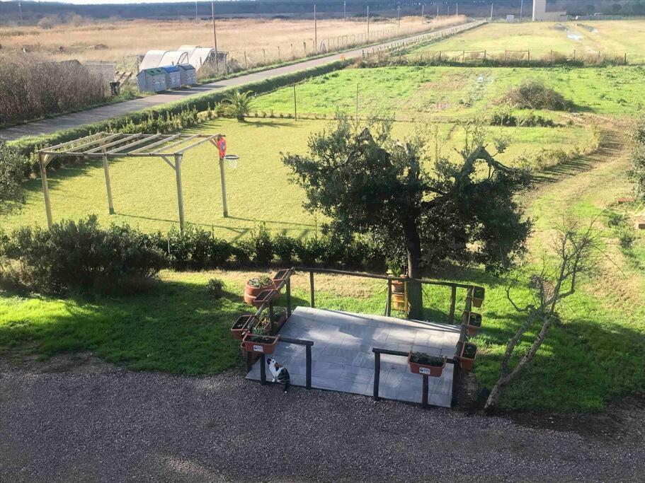 Agriturismo Il Sorbino - Appartamento Da Cocca Pian d'Alma Luaran gambar